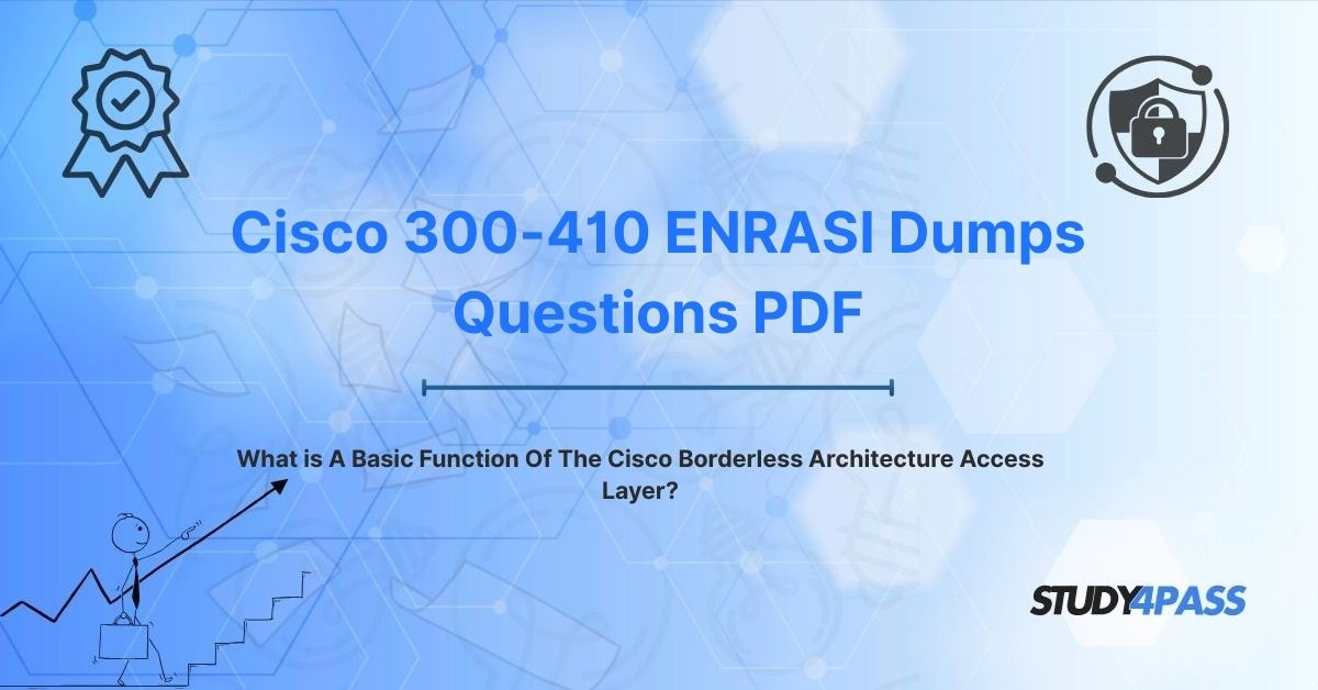 What is A Basic Function Of The Cisco Borderless Architecture Access Layer?