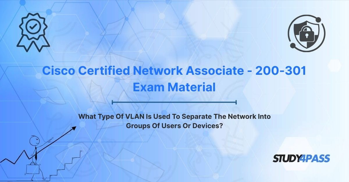 What Type Of VLAN Is Used To Separate The Network Into Groups Of Users Or Devices?