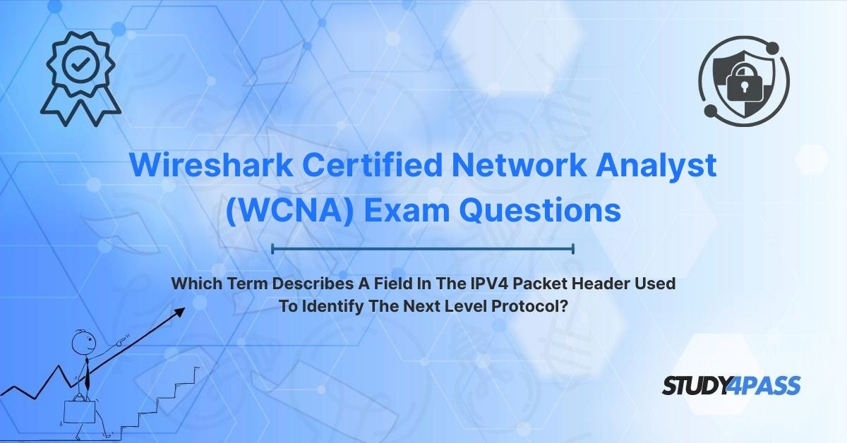 Which Term Describes A Field In The IPV4 Packet Header Used To Identify The Next Level Protocol?